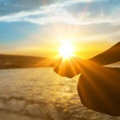 Meditation